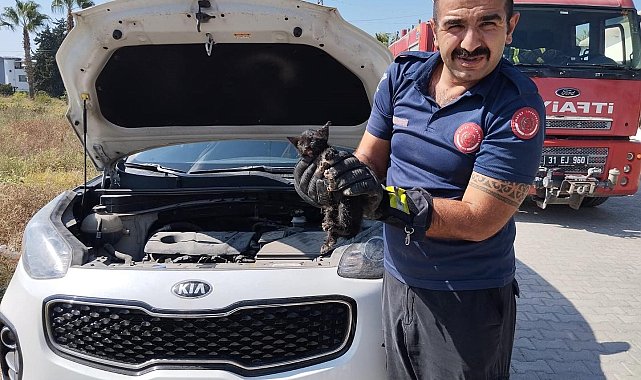 Araç motoruna sıkışan kediyi itfaiye kurtardı