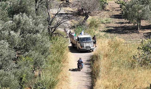 Aracı bekçilerin üzerine süren incir hırsızları tutuklandı