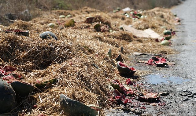 Arnavutköy'de yüzlerce karpuz yol kenarına atıldı, o anlar kamerada