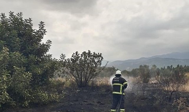 Arsuz'da otluk alan yangını