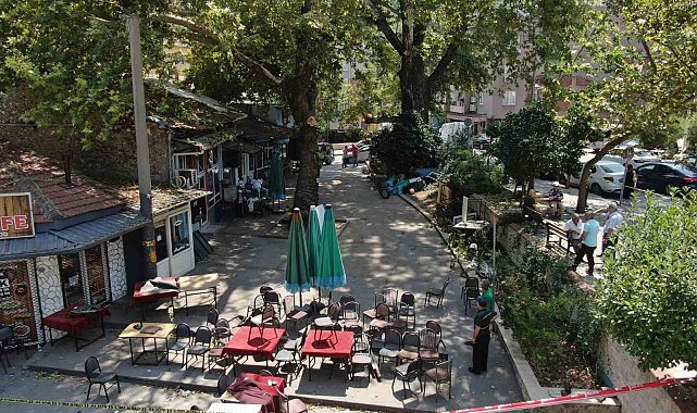 Asırlık çınar ağacı faciaya yol açıyordu: "Bir çatırtı koptu, kıyamet kopuyor sandık"