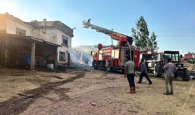 Aslanapa'da çıkan yangında 14 büyükbaş hayvan telef oldu