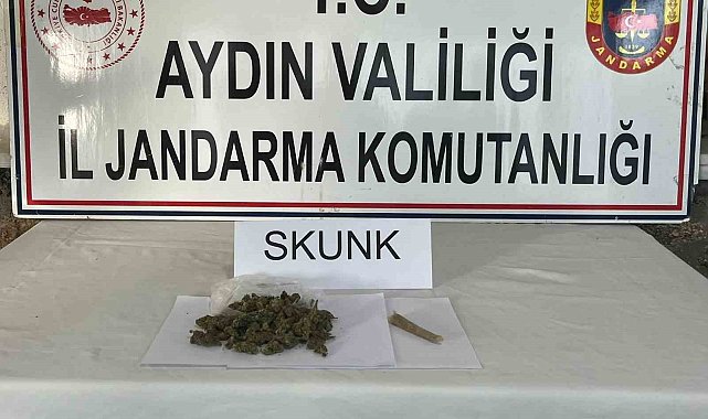 Aydın jandarmasından uyuşturucu operasyonu: 1 tutuklama