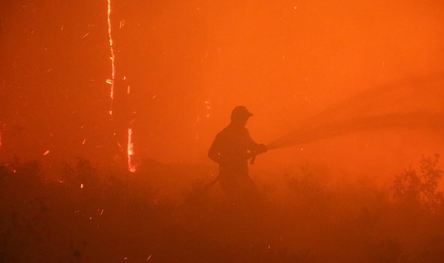 Aydın'daki orman yangını kontrol altına alındı