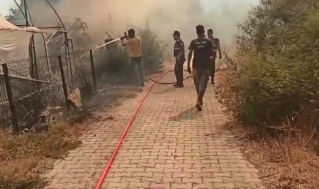 Aydın'daki yangın yerleşim yerlerine sıçradı