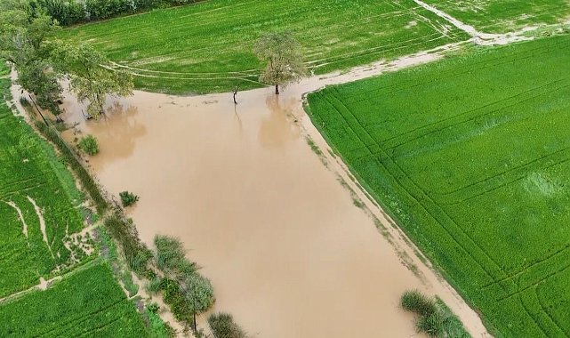 Bafra Ovası'nda tarım arazileri sular altında