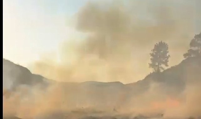 Bahçesindeki otları yakarak temizlemeye kalkışan şahıs Marmaris'i ayağa kaldırdı