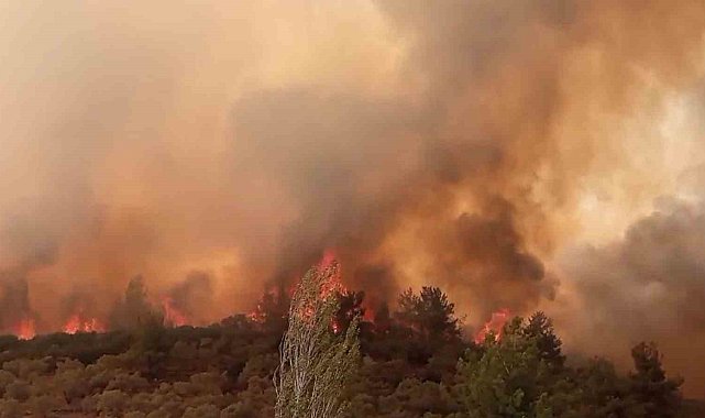 Bakan Yumaklı açıkladı: "Muğla'daki yangınlar kontrol altında"
