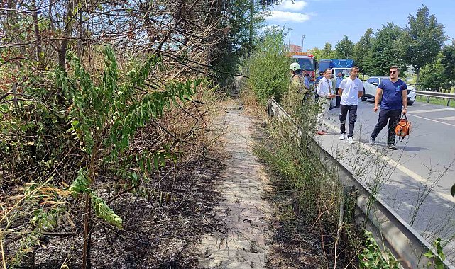 Bakırköy'de E5 kenarında korkutan yangın