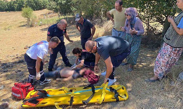 Balıkesir'de göçük altında kalan çiftçi hayatını kaybetti