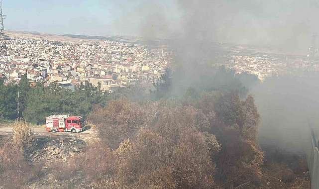 Balıkesir'in Çamlık mevkiinde çıkan arazi yangını söndürüldü
