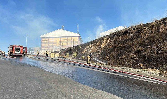 Başakşehir'de geniş alanda ot yangını