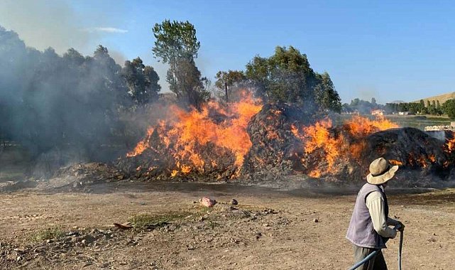 Başkale'de 4 bin bağ ot kül oldu