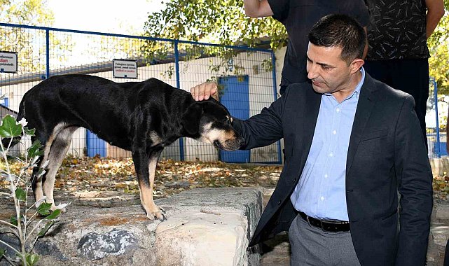 Başkan Günel: "Şartlar ne olursa olsun can dostlarımızı yaşatacağız"