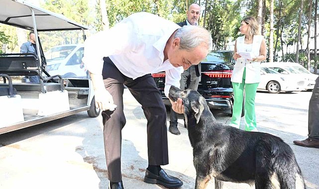 Başkan Kocagöz'den 'Köpek yakıldı' iddialarına cevap