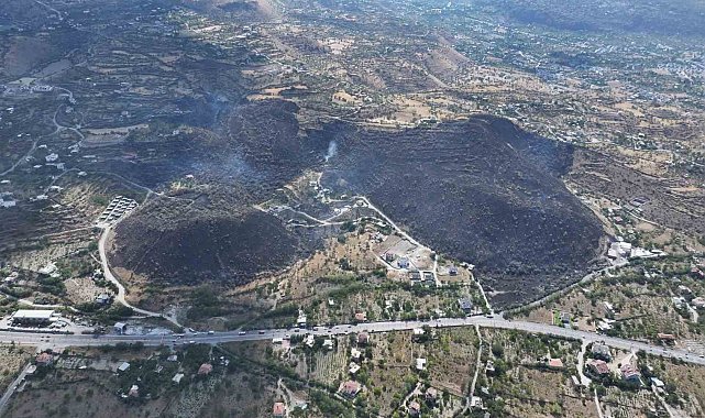 Başkan Özdoğan; yangın bölgesini inceledi