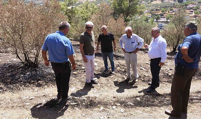 Baştuğ, Yatağan'da yanan zeytinlik alanlarda incelemelerde bulundu