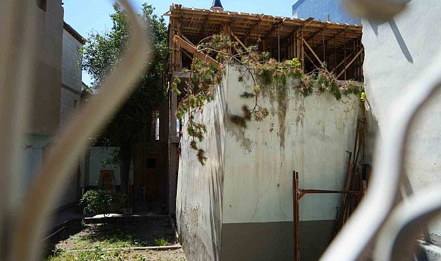 Bayburt Belediyesi türbedeki ağaçları kesti türbe çıplak kaldı