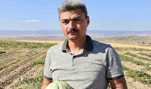 Beylikova'nın ünlü Halilbağı Mühürlü Kavunu üreticinin yüzünü güldürdü