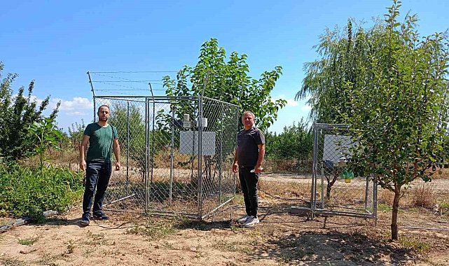 Beyşehir'de meyve bahçelerinde zararlılara karşı seferberlik