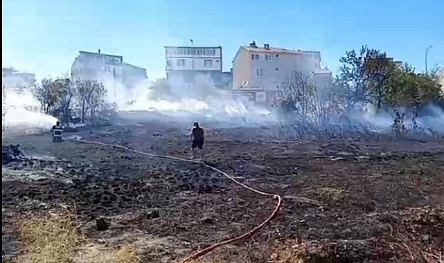 Bilecik'te 2 ayrı yerde çıkan otluk yangını söndürüldü