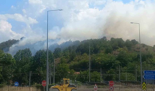 Bilecik'te çıkan otluk yangını kontrol altına alındı