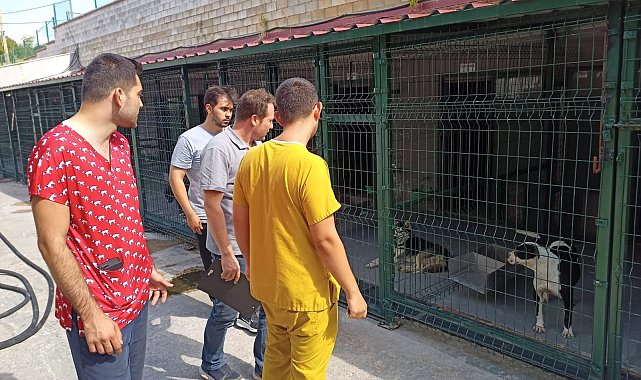 Bilecik'te hayvan barınaklarında denetimler yapıldı