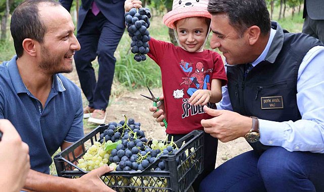 Bilecik&#039;te üzüm hasadı başladı