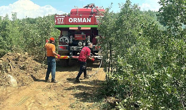 Bingöl'deki orman yangını erken müdahaleyle büyümeden söndürüldü