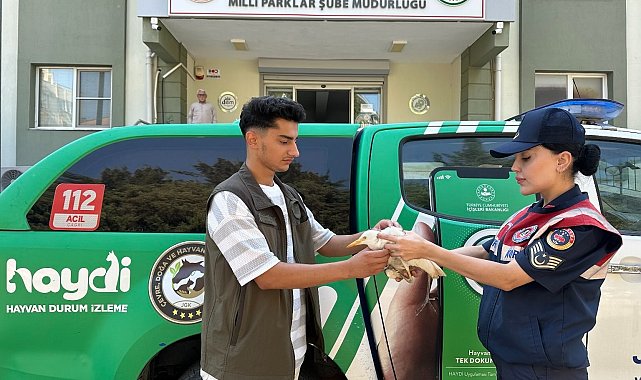 Bitkin halde bulunan yaralı 'balıkçıl kuşu' koruma altına alındı