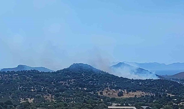 Bodrum'da makilik alanda yangın
