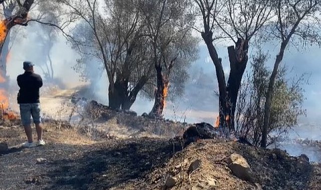 Bodrum'daki yangına müdahale sürüyor