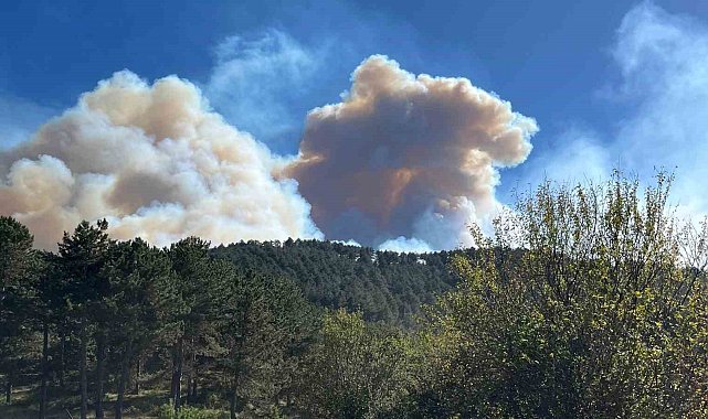 Bolu'da çıkan orman yangını 2 saattir söndürülemiyor, 2 köy tahliye edildi
