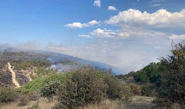 Bolu'da devam eden yangın Ankara istikametine yöneldi