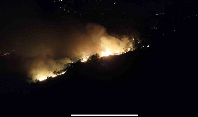 Bolu'da orman yangını 12 saattir devam ediyor