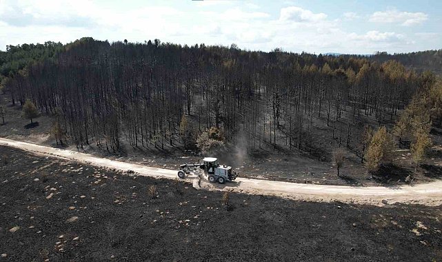 Bolu'da söndürülen yangının feci boyutu gün ağarınca ortaya çıktı