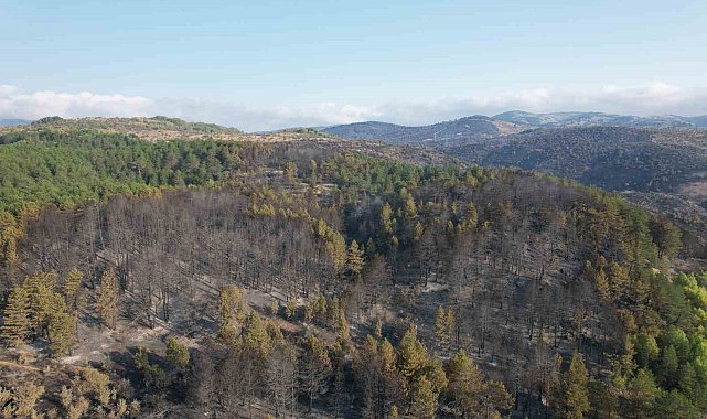 Bolu'daki yangından etkilenen alanda söndürme ve soğutma çalışmaları sürüyor