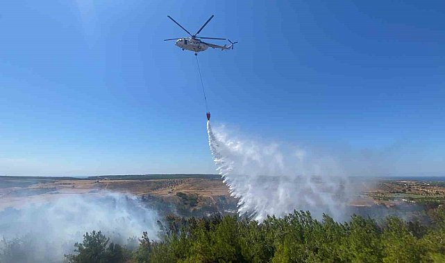 Bozcaada'da ziraat alanında başlayan yangın ormanlık alana sıçradı