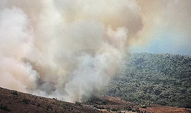 Bozcaada'da ziraat alanında yangın
