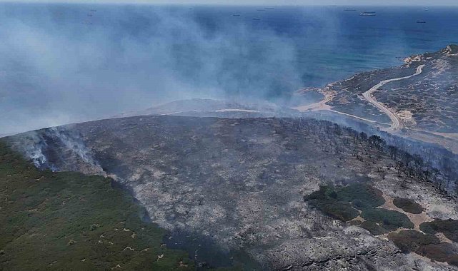 Bozcaada'daki orman yangını dron ile görüntülendi