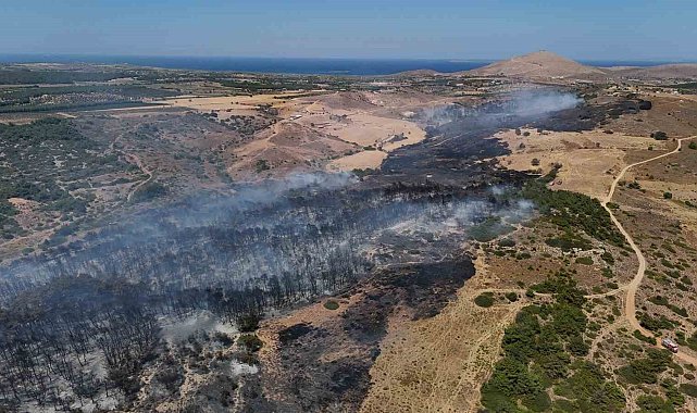 Bozcaada'daki orman yangını kontrol altına alındı