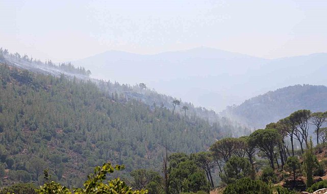 Bozdoğan yangını 45'inci saatte devam ediyor