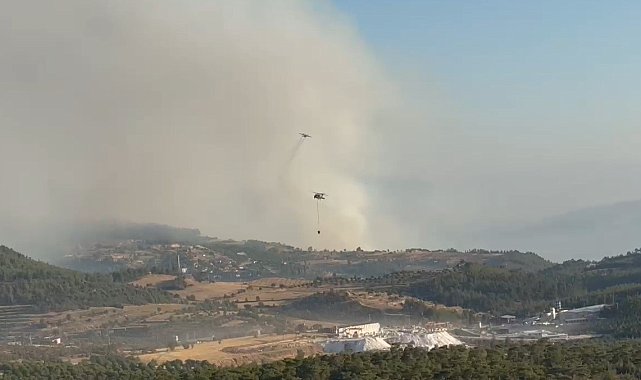 Bozdoğan yangınına 8 helikopter ve 7 uçak havadan destek veriyor