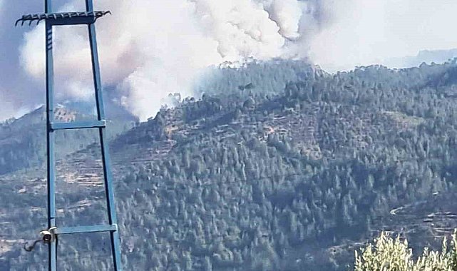 Bozdoğan'da orman yangını