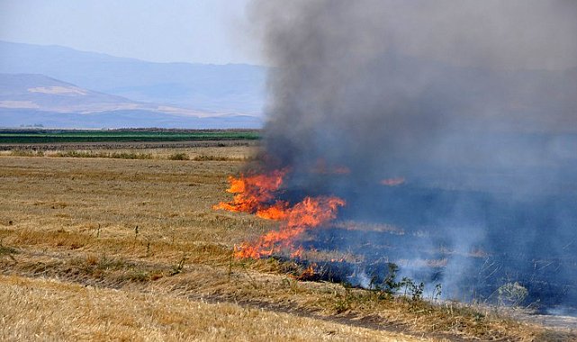 Bulanık'ta tüm uyarılara rağmen çiftçiler anız yakmaya devam ediyor