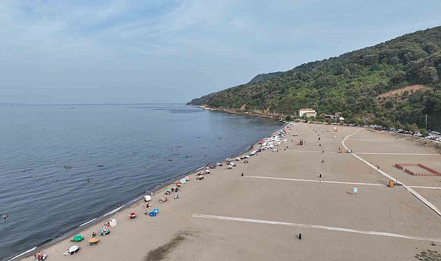 Bursa sahillerinden sevindiren haber