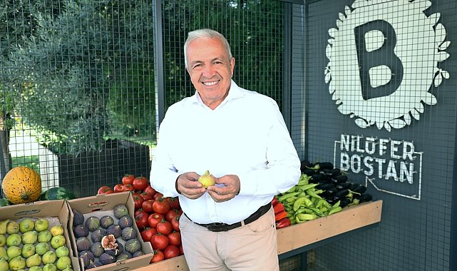 Bursa siyah inciri Nilüfer Bostan satış noktalarında
