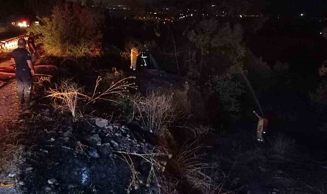 Bursa'da korkutan orman yangını