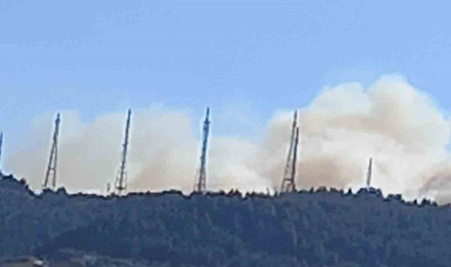 Bursa'da orman yangını