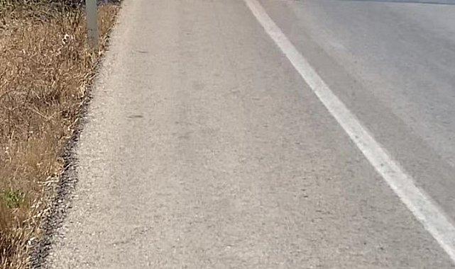 Bursa&#039;da otomobil alevlere teslim oldu